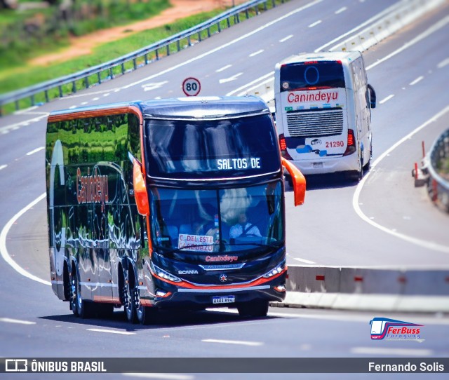 Canindeyu 24300 na cidade de Caacupé, Cordillera, Paraguai, por Fernando Solis. Número da foto: #12333422.