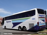Nogueira Turismo 6500 na cidade de Trindade, Goiás, Brasil, por Douglas Andrez. Número da foto: #12334904.