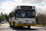 SMTUC - Serviços Municipalizados de Transportes Urbanos de Coimbra 207 na cidade de Coimbra, Coimbra, Portugal, por César de Oliveira. Número da foto: #12333361.