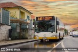 SMTUC - Serviços Municipalizados de Transportes Urbanos de Coimbra 331 na cidade de Coimbra, Coimbra, Portugal, por César de Oliveira. Número da foto: #:id.