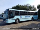 Transcal Sul Transportes Coletivos 24118 na cidade de Cachoeirinha, Rio Grande do Sul, Brasil, por Rodrigo Koscolka. Número da foto: #12332851.