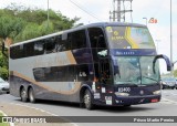 Bia Turismo > Aellos de Ouro 82400 na cidade de São Paulo, São Paulo, Brasil, por Prisco Martin Pereira. Número da foto: #12332533.