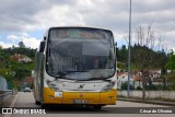 SMTUC - Serviços Municipalizados de Transportes Urbanos de Coimbra 304 na cidade de Coimbra, Coimbra, Portugal, por César de Oliveira. Número da foto: #12333330.