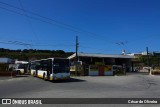 SMTUC - Serviços Municipalizados de Transportes Urbanos de Coimbra 265 na cidade de Coimbra, Coimbra, Portugal, por César de Oliveira. Número da foto: #12333527.