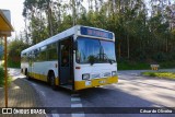 SMTUC - Serviços Municipalizados de Transportes Urbanos de Coimbra 181 na cidade de Coimbra, Coimbra, Portugal, por César de Oliveira. Número da foto: #12333390.