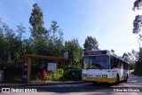 SMTUC - Serviços Municipalizados de Transportes Urbanos de Coimbra 181 na cidade de Coimbra, Coimbra, Portugal, por César de Oliveira. Número da foto: #12333396.
