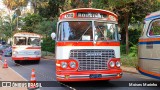Rouxinol 010 na cidade de Belo Horizonte, Minas Gerais, Brasil, por Moises Marinho. Número da foto: #:id.