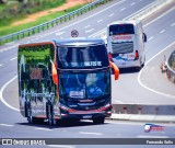 Canindeyu 24300 na cidade de Caacupé, Cordillera, Paraguai, por Fernando Solis. Número da foto: #12333422.