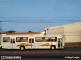 Jandaia Transportes e Turismo 2080 na cidade de Presidente Prudente, São Paulo, Brasil, por Rodrigo Piragibe. Número da foto: #12336508.