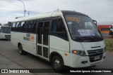 Buses Pirehueico  na cidade de Valdivia, Valdivia, Los Ríos, Chile, por Sebastián Ignacio Alvarado Herrera. Número da foto: #12337074.