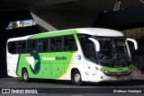 Pássaro Verde 11098 na cidade de Belo Horizonte, Minas Gerais, Brasil, por Matheus Henrique. Número da foto: #12336152.