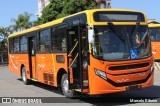 Transrosa 1703 na cidade de Lagoa Santa, Minas Gerais, Brasil, por Marcelo Ribeiro. Número da foto: #:id.