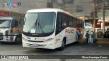 Turismo Pavão 20202 na cidade de São Roque, São Paulo, Brasil, por Flávio Henrique Cesar. Número da foto: #:id.
