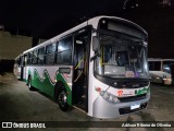 Bonanza Transportes 223357 na cidade de São Lourenço, Minas Gerais, Brasil, por Adilson Ribeiro de Oliveira. Número da foto: #12341930.