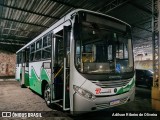 Bonanza Transportes 227357 na cidade de São Lourenço, Minas Gerais, Brasil, por Adilson Ribeiro de Oliveira. Número da foto: #12341913.