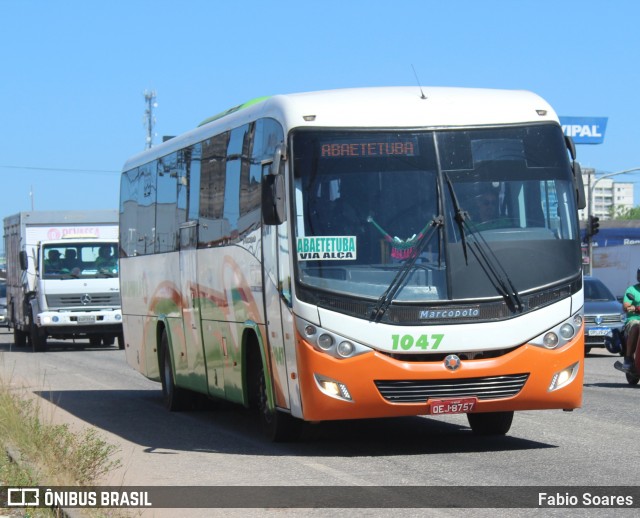 Jarumã Transportes Rodofluvial 1047 na cidade de Ananindeua, Pará, Brasil, por Fabio Soares. Número da foto: #12296563.