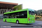 Transporte Coletivo Glória OE-12 na cidade de Curitiba, Paraná, Brasil, por Hipólito Rodrigues. Número da foto: #12298346.