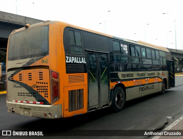 Transport Tigrillo S.A. 77 na cidade de Independencia, Lima, Lima Metropolitana, Peru, por Anthonel Cruzado. Número da foto: #12345002.