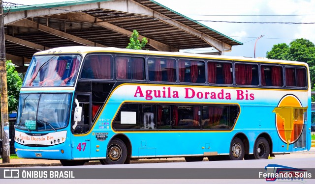 Águila Dorada 47 na cidade de Posadas, Capital, Misiones, Argentina, por Fernando Solis. Número da foto: #12345151.