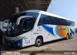Transamazônica 505 na cidade de Manacapuru, Amazonas, Brasil, por Gilmar Porfírio. Número da foto: #12345100.
