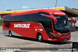 Viação Santa Cruz 31923 na cidade de Itapeva, Minas Gerais, Brasil, por Flavio Rodrigues Silva. Número da foto: #:id.