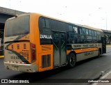 Transport Tigrillo S.A. 77 na cidade de Independencia, Lima, Lima Metropolitana, Peru, por Anthonel Cruzado. Número da foto: #12345002.