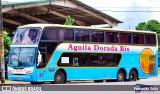 Águila Dorada 47 na cidade de Posadas, Capital, Misiones, Argentina, por Fernando Solis. Número da foto: #12345151.