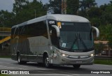 Bia Turismo > Aellos de Ouro 8221 na cidade de Santa Isabel, São Paulo, Brasil, por George Miranda. Número da foto: #12348715.