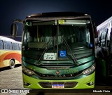 Turin Transportes 2435 na cidade de Conselheiro Lafaiete, Minas Gerais, Brasil, por Eduardo Vieira. Número da foto: #12349006.