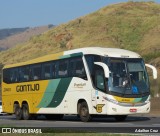 Empresa Gontijo de Transportes 21460 na cidade de Aparecida, São Paulo, Brasil, por Adailton Cruz. Número da foto: #12349019.