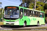 Viação Falcão RJ 179.005 na cidade de Resende, Rio de Janeiro, Brasil, por Paulo Henrique Pereira Borges. Número da foto: #12349450.