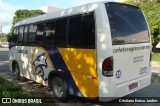 Leão Loc 22307025 na cidade de Manaus, Amazonas, Brasil, por Cristiano Eurico Jardim. Número da foto: #12351028.
