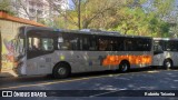 Alfa Rodobus > CooperAlfa 8 6080 na cidade de São Paulo, São Paulo, Brasil, por Roberto Teixeira. Número da foto: #12351286.