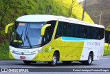 Costa Verde Transportes RJ 217.049 na cidade de Piraí, Rio de Janeiro, Brasil, por Paulo Henrique Pereira Borges. Número da foto: #12353668.