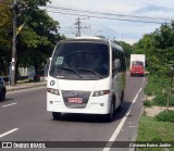 Leão Loc 22308057 na cidade de Manaus, Amazonas, Brasil, por Cristiano Eurico Jardim. Número da foto: #12352161.