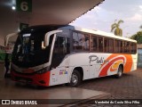 Viação Platina 4080 na cidade de Quirinópolis, Goiás, Brasil, por Vanderlei da Costa Silva Filho. Número da foto: #:id.