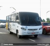 Leão Loc 22308034 na cidade de Manaus, Amazonas, Brasil, por Cristiano Eurico Jardim. Número da foto: #:id.