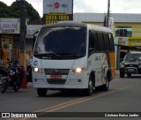 Leão Loc 22314050 na cidade de Manaus, Amazonas, Brasil, por Cristiano Eurico Jardim. Número da foto: #12352638.