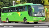 Pássaro Verde 29017 na cidade de Belo Horizonte, Minas Gerais, Brasil, por Juarez Miguel Duarte Junior. Número da foto: #12353573.