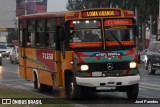 TLGSA - Transporte Loma Grande S.A. - Línea 132 > Transporte LomaGrandense S.A. 058 na cidade de Mariano Roque Alonso, Central, Paraguai, por José Paredes. Número da foto: #12354718.