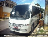 Leão Loc 22313046 na cidade de Manaus, Amazonas, Brasil, por Cristiano Eurico Jardim. Número da foto: #12352585.