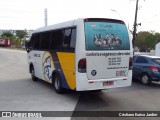 Leão Loc 22308057 na cidade de Manaus, Amazonas, Brasil, por Cristiano Eurico Jardim. Número da foto: #12352146.