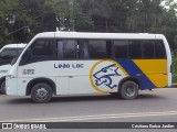 Leão Loc 22308031 na cidade de Manaus, Amazonas, Brasil, por Cristiano Eurico Jardim. Número da foto: #12352068.