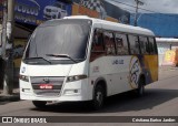 Leão Loc 22311003 na cidade de Manaus, Amazonas, Brasil, por Cristiano Eurico Jardim. Número da foto: #:id.