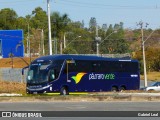 Pássaro Verde 16905 na cidade de Formiga, Minas Gerais, Brasil, por Gabriel Leal. Número da foto: #:id.