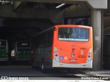 TRANSPPASS - Transporte de Passageiros 8 0983 na cidade de São Paulo, São Paulo, Brasil, por Weslley Kelvin Batista. Número da foto: #12355670.