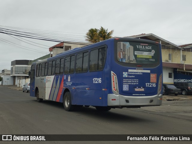 Transportes Capellini 17.216 na cidade de Santa Bárbara d`Oeste, São Paulo, Brasil, por Fernando Félix Ferreira Lima. Número da foto: #12358274.