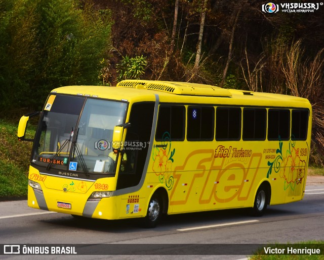 Fiel 1840 na cidade de Petrópolis, Rio de Janeiro, Brasil, por Victor Henrique. Número da foto: #12359696.