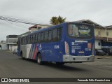 Transportes Capellini 17.216 na cidade de Santa Bárbara d`Oeste, São Paulo, Brasil, por Fernando Félix Ferreira Lima. Número da foto: #12358274.