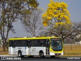 Viação Pioneira 229253 na cidade de Brasília, Distrito Federal, Brasil, por Daniel Chaves. Número da foto: #:id.